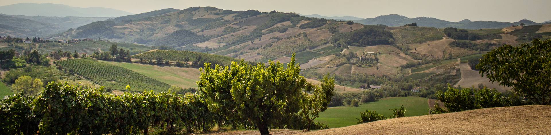 Cella di Montalto territorio