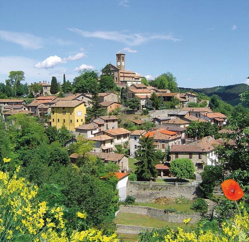 Cella di Montalto fortunago